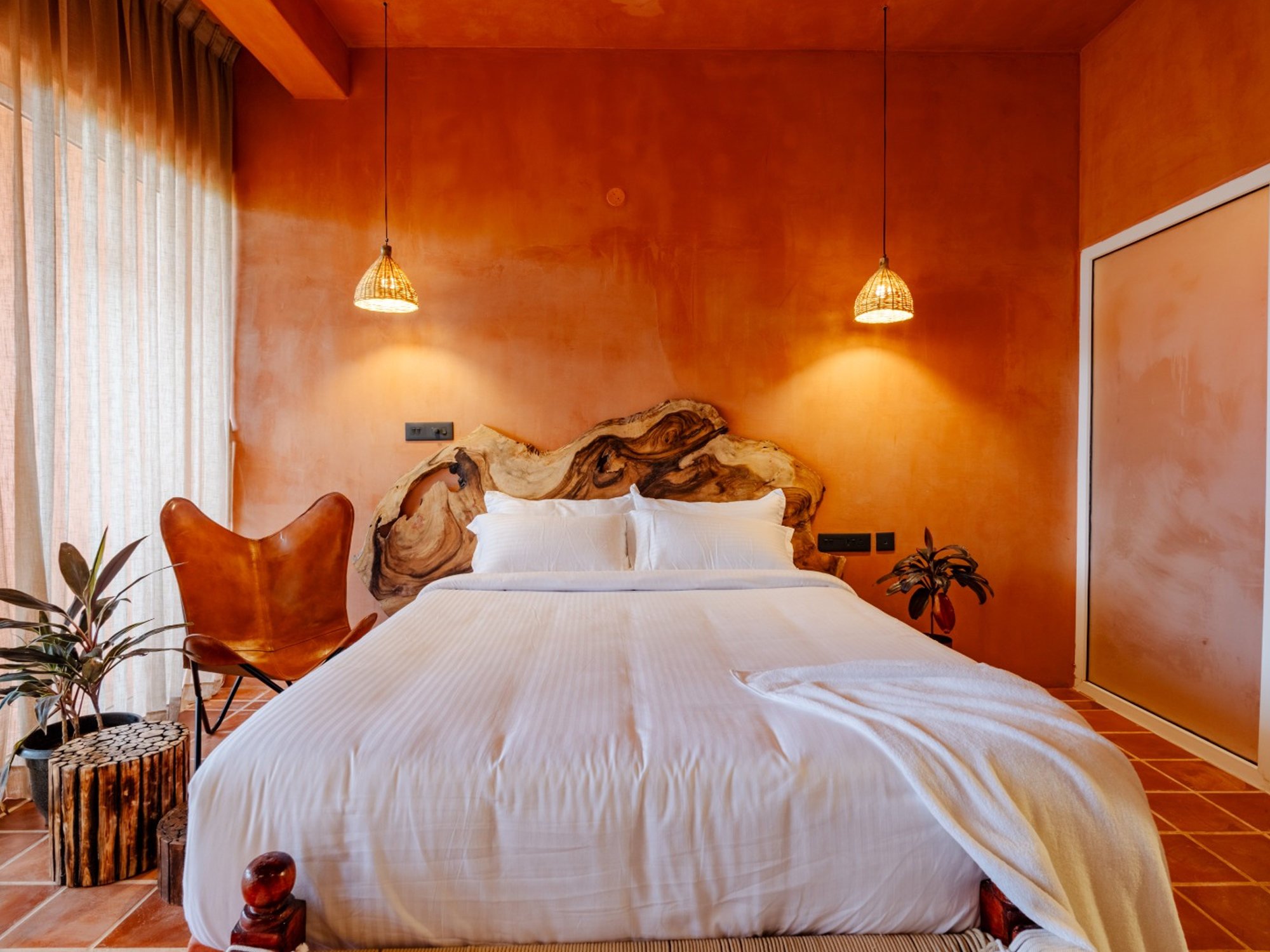 Colorlib Free Template